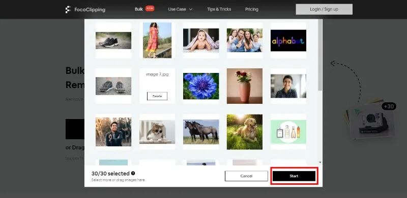 这款在线AI抠图神器,让我告别了复杂的Photoshop!
